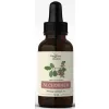 Alchornea cordifolia nalewka 1:1 50 ml Nanga