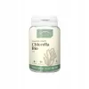 Chlorella BIO 500mg Nanga tabletki 200 szt.