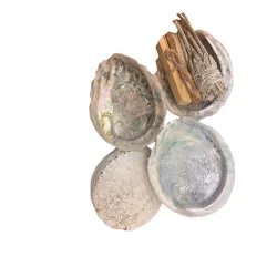 Zestaw prezentowy Palo Santo + Biała Szałwia + Muszla abalone MINI