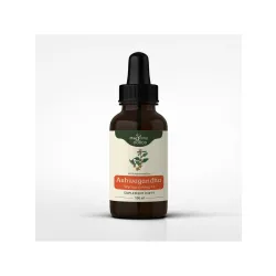 Ashwagandha nalewka 1:1 Nanga  100ML