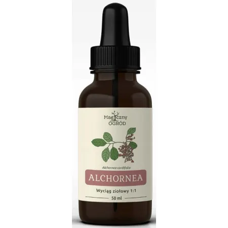 Alchornea cordifolia nalewka 1:1 50 ml Nanga