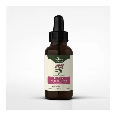 Echinacea angustifolia wyciąg ziołowy 1:1 50 ml