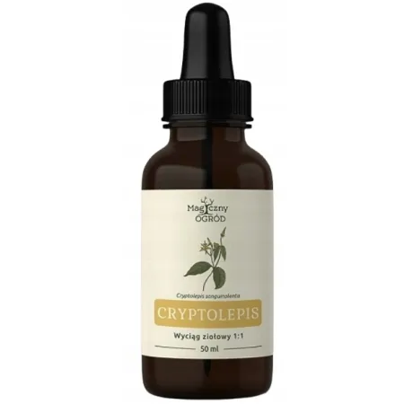 Cryptolepis sanguinolenta wyciąg / nalewka 1:1 50 ml Nanga