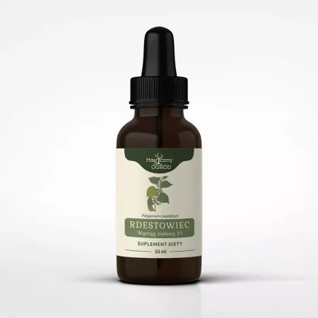 Rdestowiec japoński nalewka 1:1 50ml NANGA