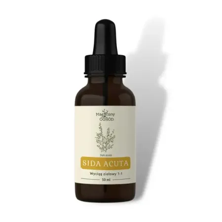 Sida acuta nalewka 1:1 50 ml Nanga
