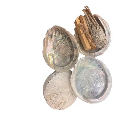 Zestaw prezentowy Palo Santo + Biała Szałwia + Muszla abalone MINI