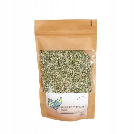Buzdyganek owoc Nanga 50 g