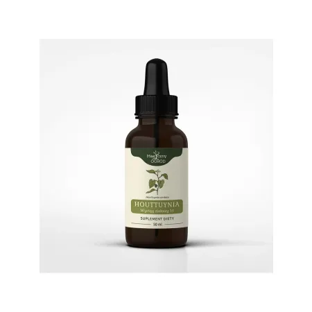 Houttuynia cordata nalewka 1:1 Nanga 50ml