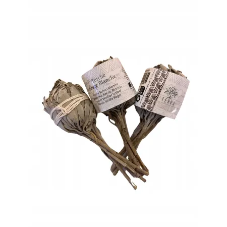 Biała Szałwia kalifornijska Terra 20–30 g – kadzidło